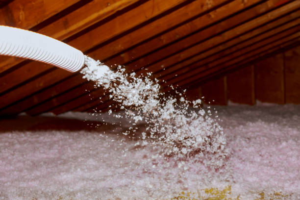 Best Attic Insulation Installation  in Centreville, VA
