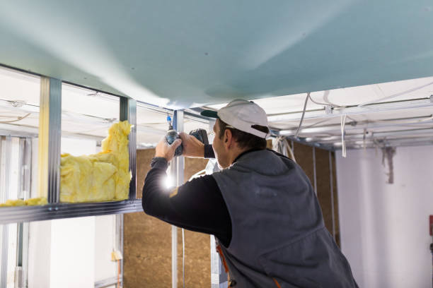 Best Insulation for New Construction  in Centreville, VA
