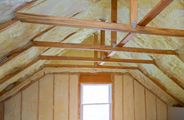 Best Insulation Removal  in Centreville, VA