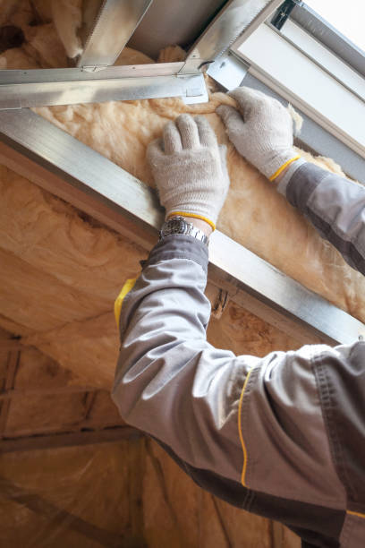 Best Energy-efficient Insulation  in Centreville, VA