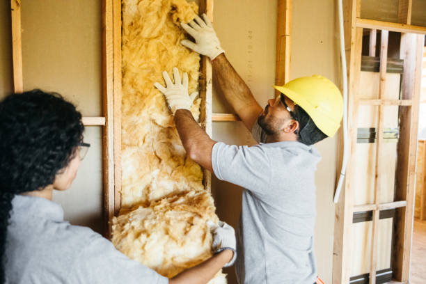Best Professional Insulation Contractor  in Centreville, VA
