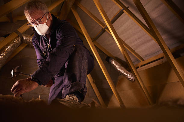Insulation Repair Services in Centreville, VA